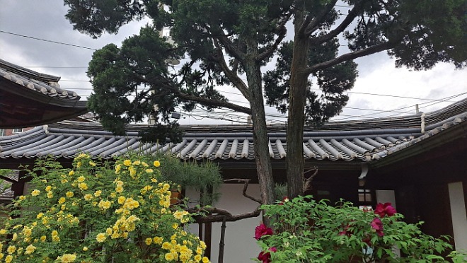 KakaoTalk_20220506_151311979_08.jpg