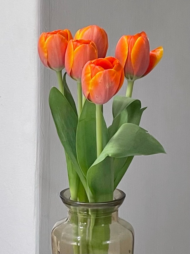 꽃1.jpg