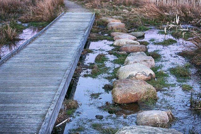 choice-gee55ea92e_640.jpg