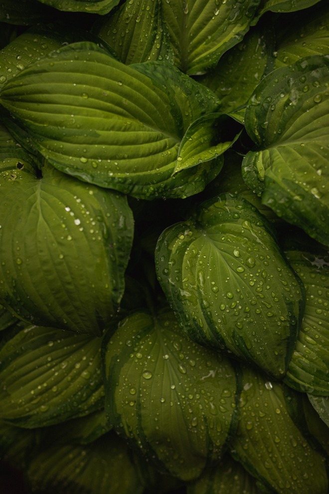 mykhailo-kopyt-CHcKwvLkr_I-unsplash (1).jpg