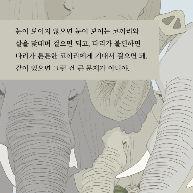 알라딘.jpg