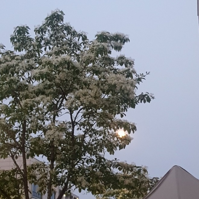 [크기변환]KakaoTalk_20220618_144941329.jpg
