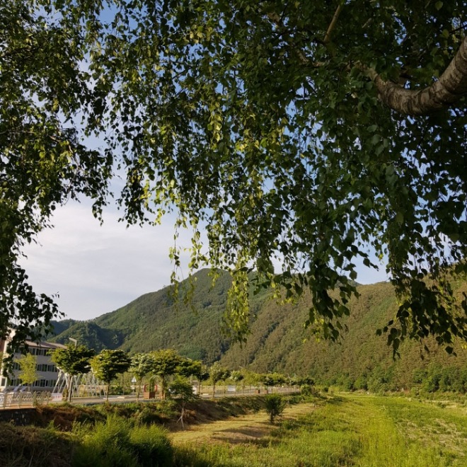 [크기변환]KakaoTalk_20220618_144942077.jpg