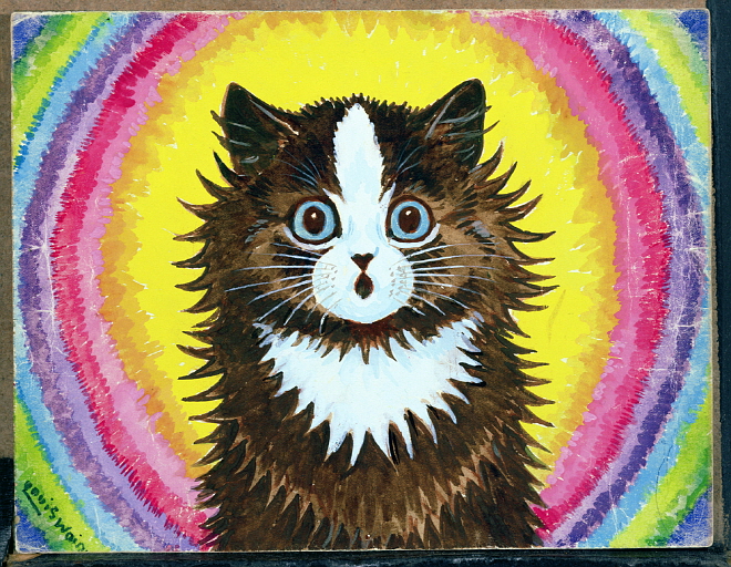 Cat-in-a-Rainbow.jpg