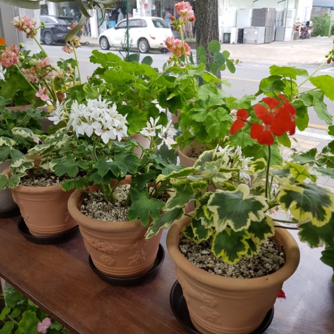 [크기변환]KakaoTalk_20220626_093803652.jpg
