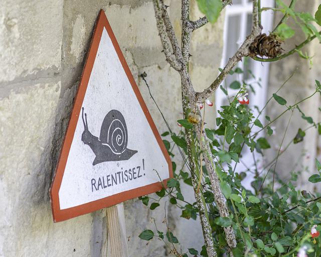 snail-gff67483a0_640.jpg