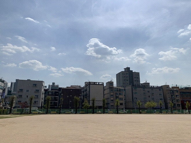 쌤[포맷변환][크기변환]Y쌤6.jpg