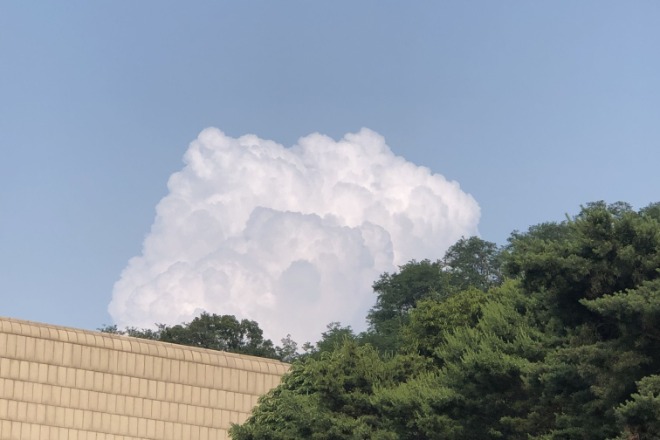 KakaoTalk_20220702_174932506-1.jpg