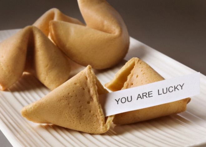 [포맷변환][크기변환]fortune-cookie-g54b30a30c_1920.jpg
