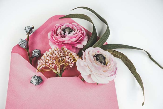 flowers-6943134_1920.jpg