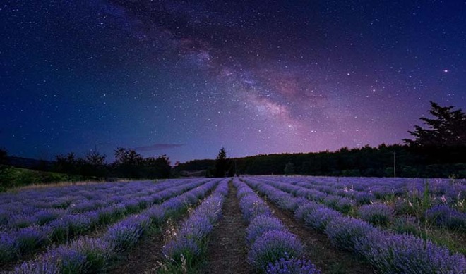 milky-way-4526277_1920.jpg