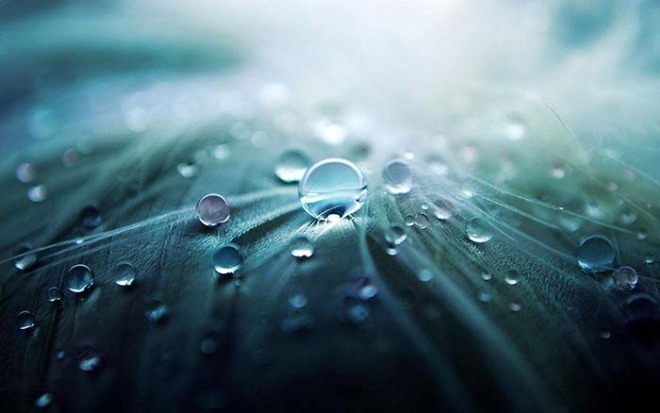 water-droplets-955929_1280.jpg