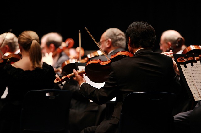 orchestra-g90eb633c9_640.jpg