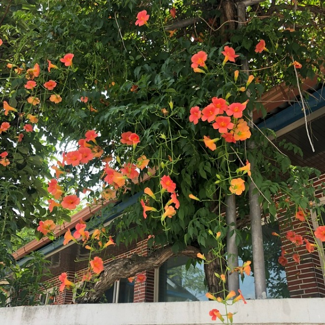 KakaoTalk_20220725_001527449_03.jpg