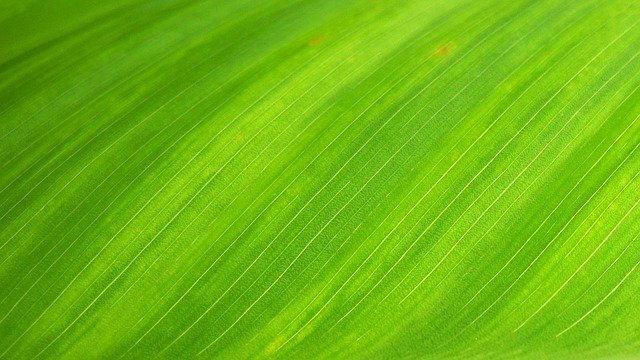 hd-wallpaper-176722_640.jpg
