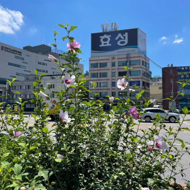 [포맷변환][크기변환]KakaoTalk_20220810_193014143.jpg