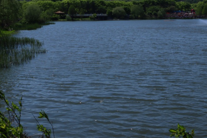 [700]IMG_5050.jpg