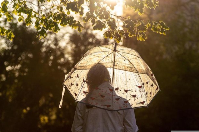 umbrella-gb00045856_1920.jpg