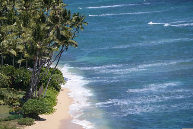 honolulu-g803d86ee7_640.jpg