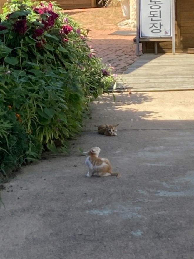 [크기변환][회전][크기변환]IMG_5482.jpg