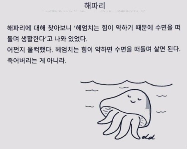 해파리짤...내인생은...마치...해파리........jpg
