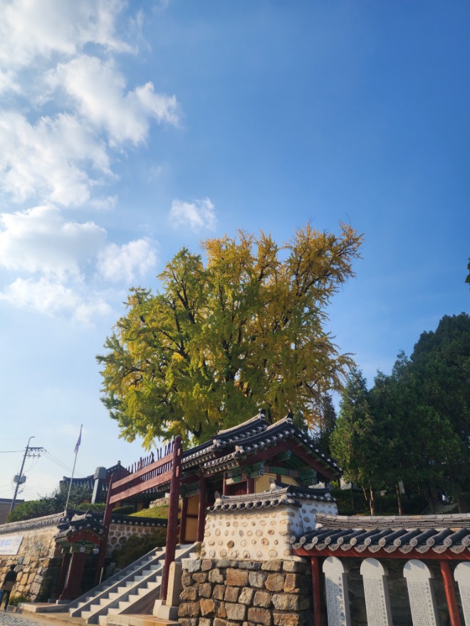 궐리사.jpg