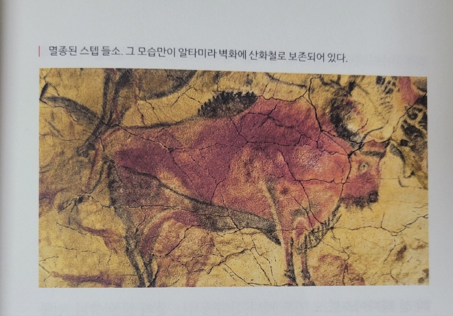[크기변환]KakaoTalk_20221105_040934184.jpg