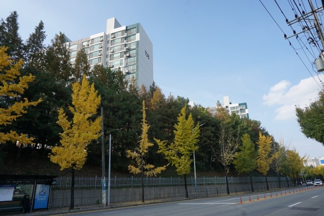 DSC04778.JPG
