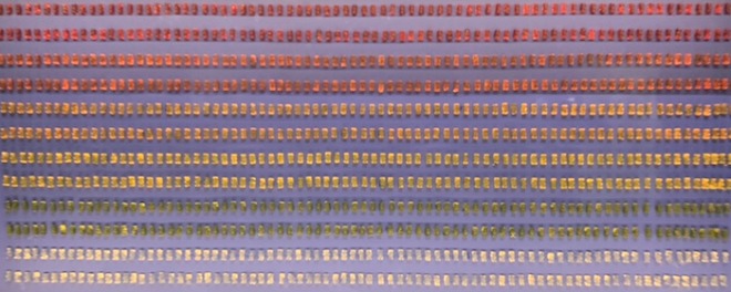 SE-F6845D55-9465-4CCC-BA42-FE7854DF85C5.jpg