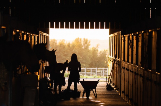 stable-g9a22a8c82_1920.jpg