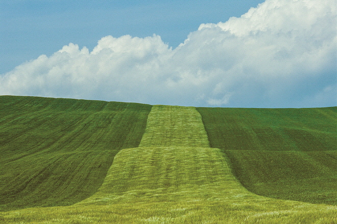 FRANCO FONTANA© BASILICATA 1985 QWT.jpg