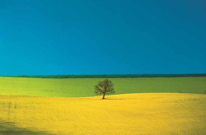 FRANCO FONTANA© PUGLIA 1987 EWS.jpg