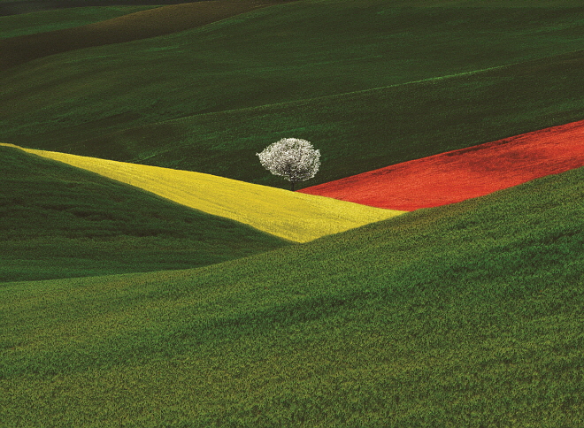 FRANCO FONTANA© PUGLIA 1995 paesaggio immaginario mmg.jpg