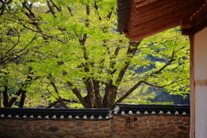 [크기변환]tile-house-gc1944685b_1920.jpg