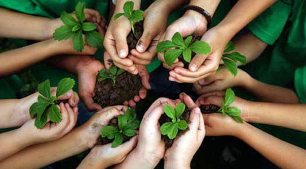 environmental-education.jpg