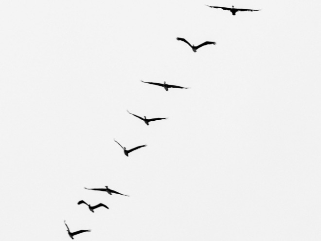 SE-4c089ed2-3de6-4042-8d5f-119fdf845ae5.jpg