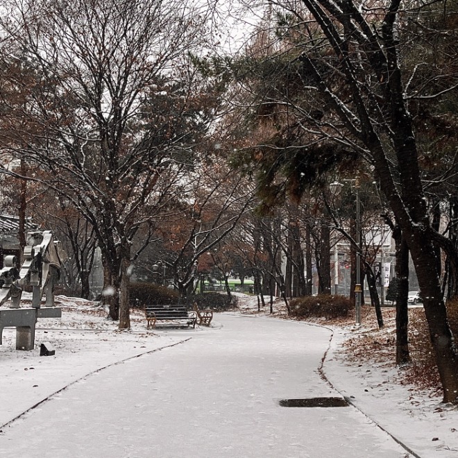 [크기변환]김치_1_대비업.jpg