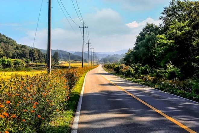 road-g6121b60a2_640.jpg