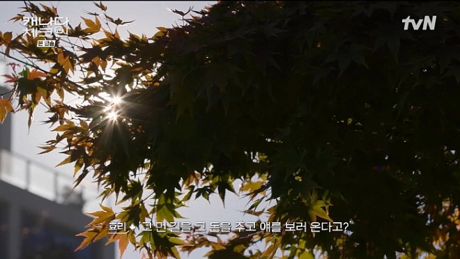 [꾸미기]캐나다 체크인.E02.221224.1080p.H264-F1RST.mp4_20221229_210156.842.jpg