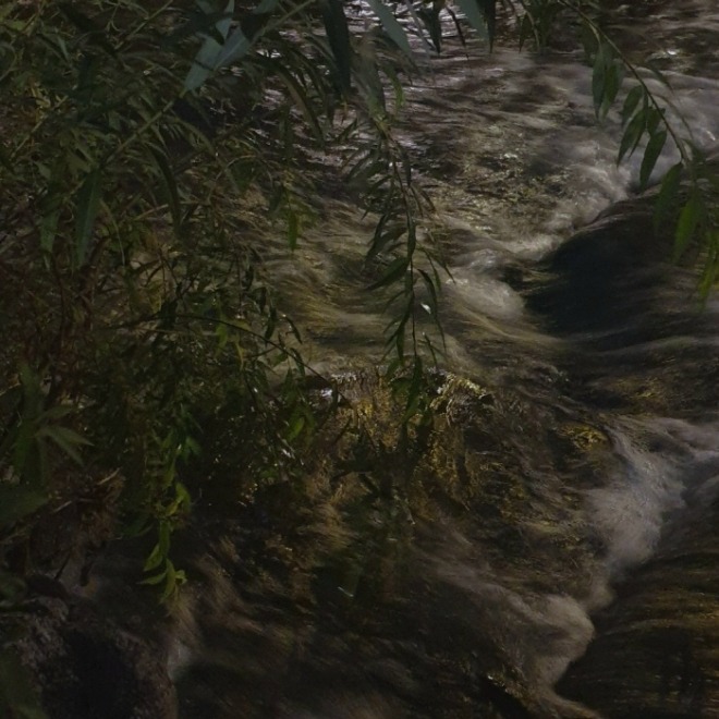 [크기변환]제주_강변.jpg