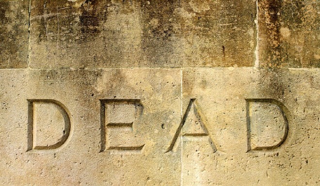 [꾸미기][크기변환]dead-g267851bc8_1280.jpg