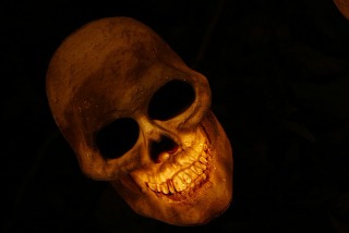 skull-g53c47dd11_640.jpg