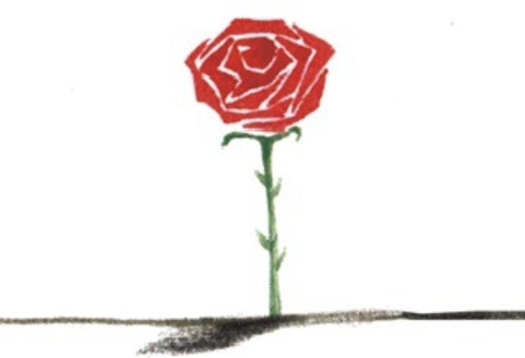 장미.png