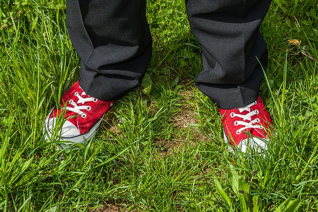 red-g4f569eef1_640.jpg