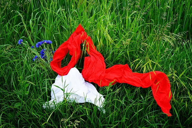 scarf-gce8b92552_640.jpg