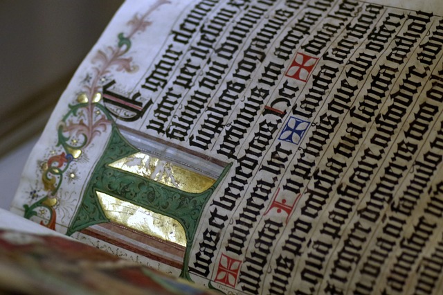 the-middle-ages-g7cadb88ab_640.jpg