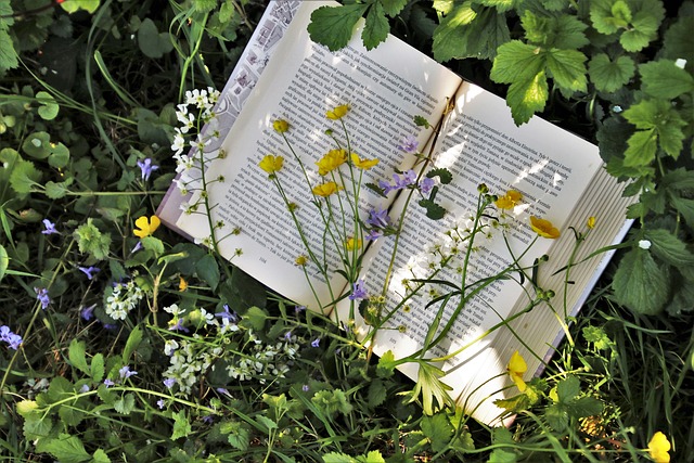 reading-g5ad9c5b34_640.jpg