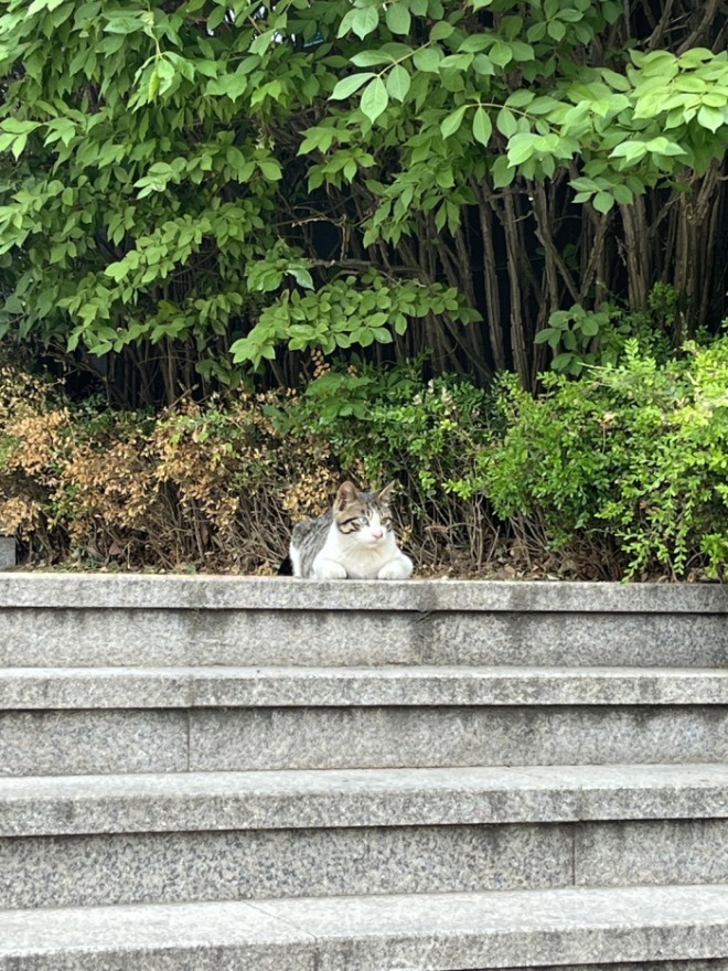 [크기변환]KakaoTalk_20230424_165056806.jpg