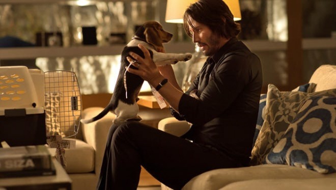 [크기변환]635494961822000008-BEAGLE-JOHN-WICK-MOV-JY-3400--68084492.jpg