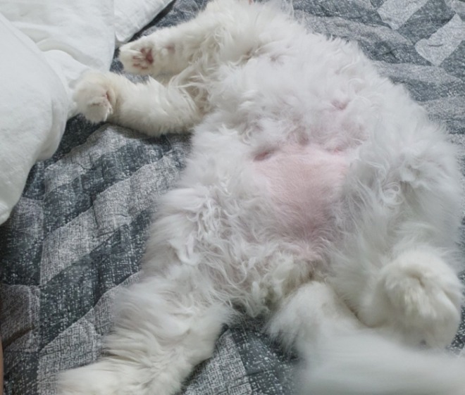 포맷변환_일괄편집_8.jpg